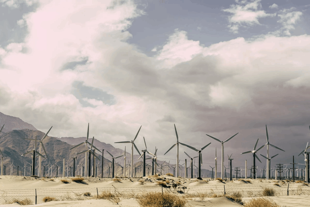 the role of public participation in environmental authorisations for renewable energy