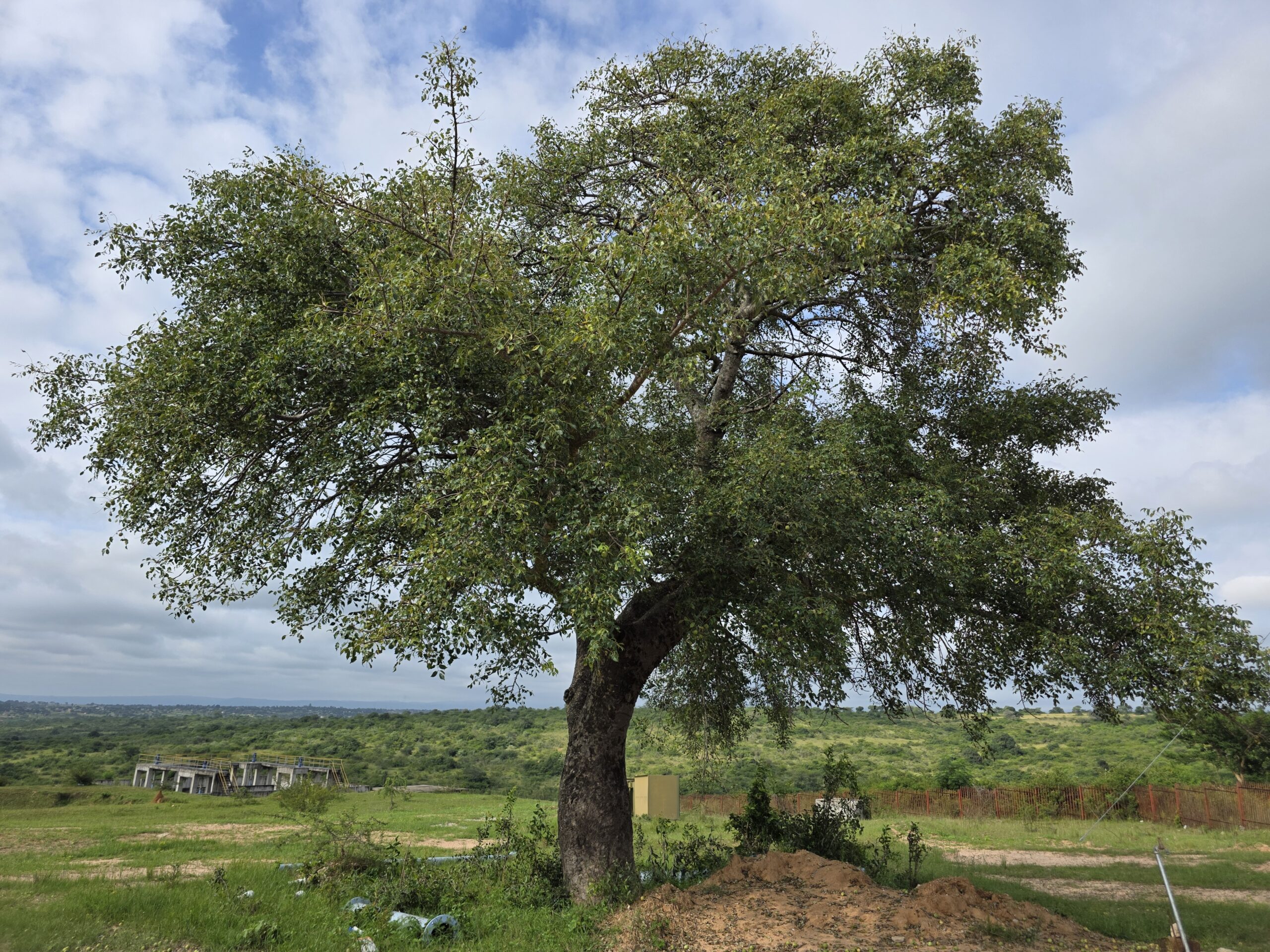 Upgrading critical wastewater infrastructure to restore South Africa’s water quality while safeguarding sensitive ecosystems through science-driven environmental solutions.